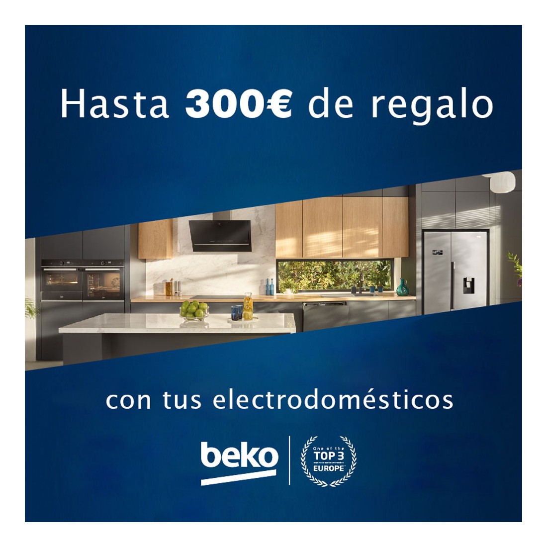 Hasta 300€ de regalo con tus electrodomésticos (ver productos adscritos a la promoción)